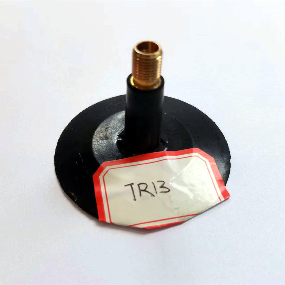 brass heat resistant inner tube valve for electric bicycle from China